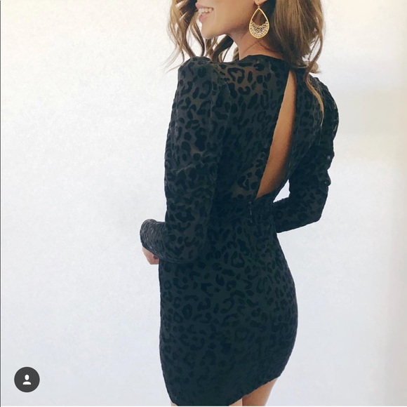 CRIV Dresses & Skirts - Leopard velvet mini dress